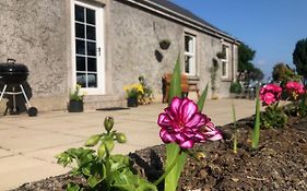Ballyconnelly Cottages, Galgorm Area