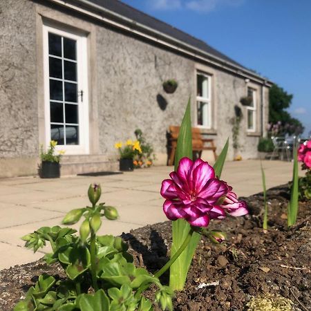 Ballyconnelly Cottages, Galgorm Area Cullybackey Exterior photo
