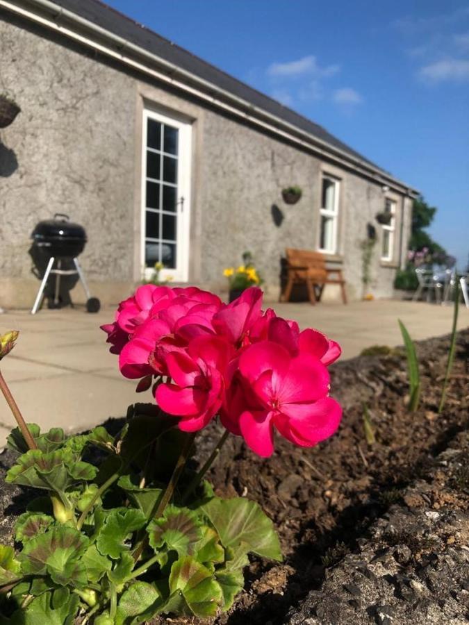 Ballyconnelly Cottages, Galgorm Area Cullybackey Exterior photo